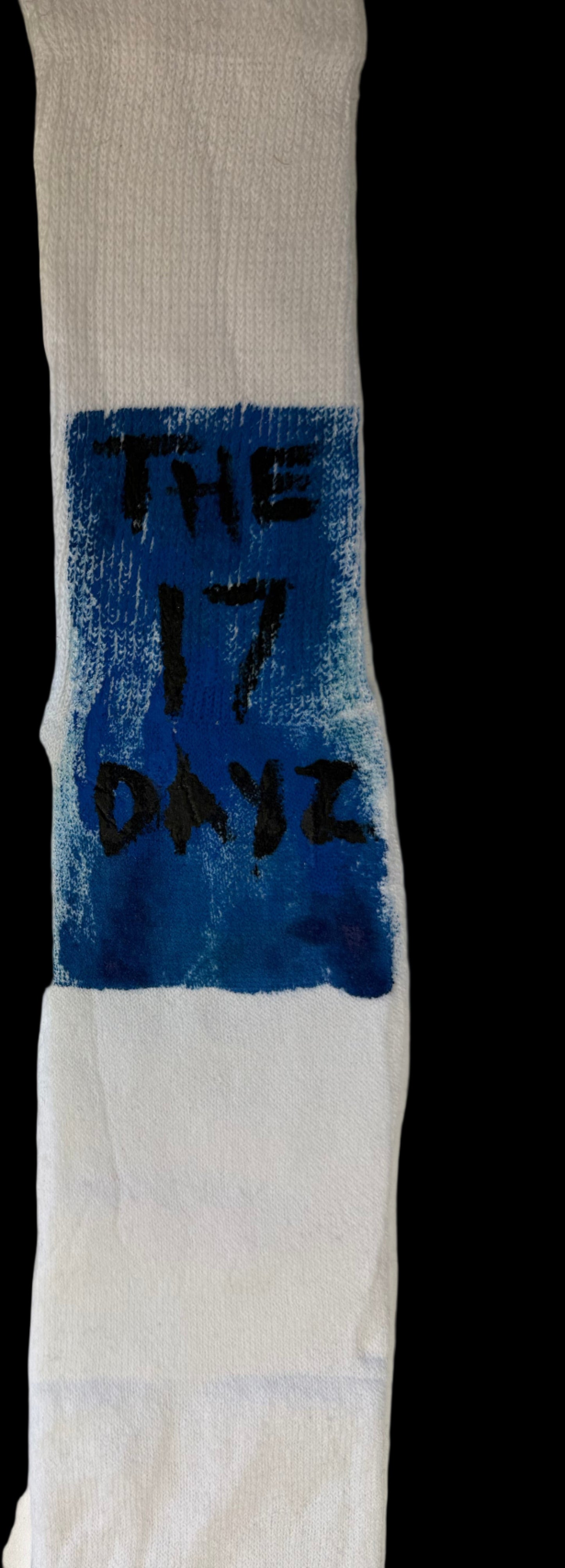 ◌ theCircleOfSin 17DAAAyz socks