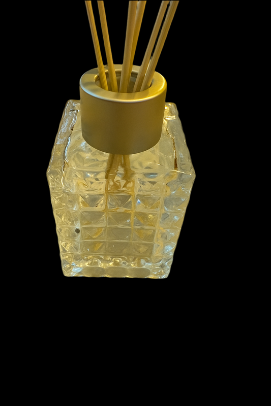 ᴛʜᴇ ʟᴏsᴛ 𝔏𝔞𝔟𝔶𝔯𝔦𝔫𝔱𝔥 GLASS LAB incense holder